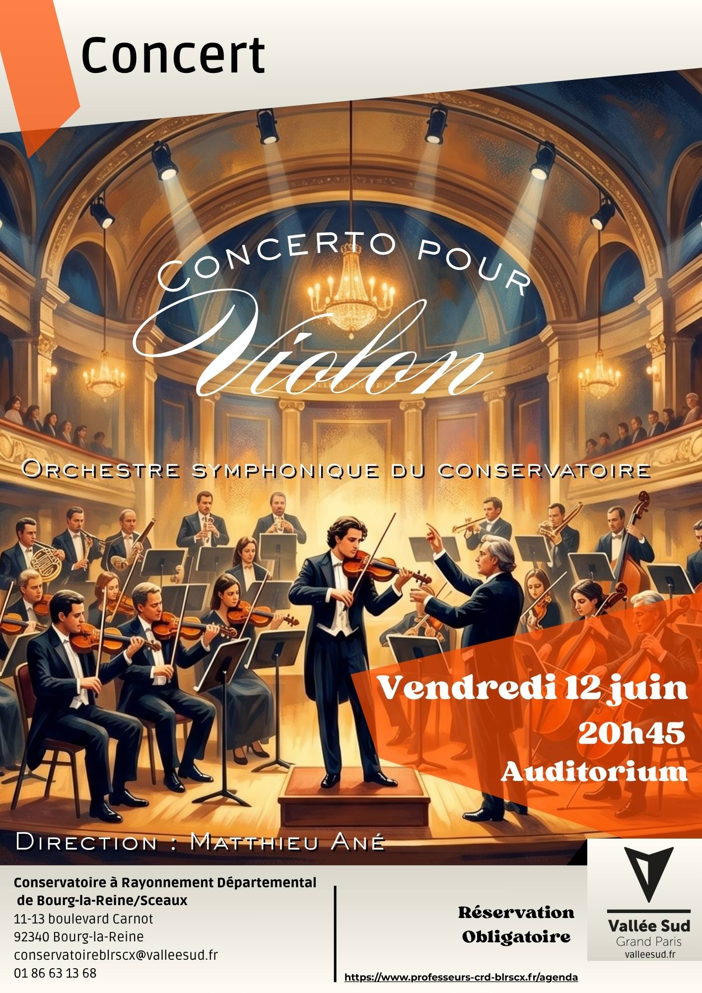 Affiche Concert