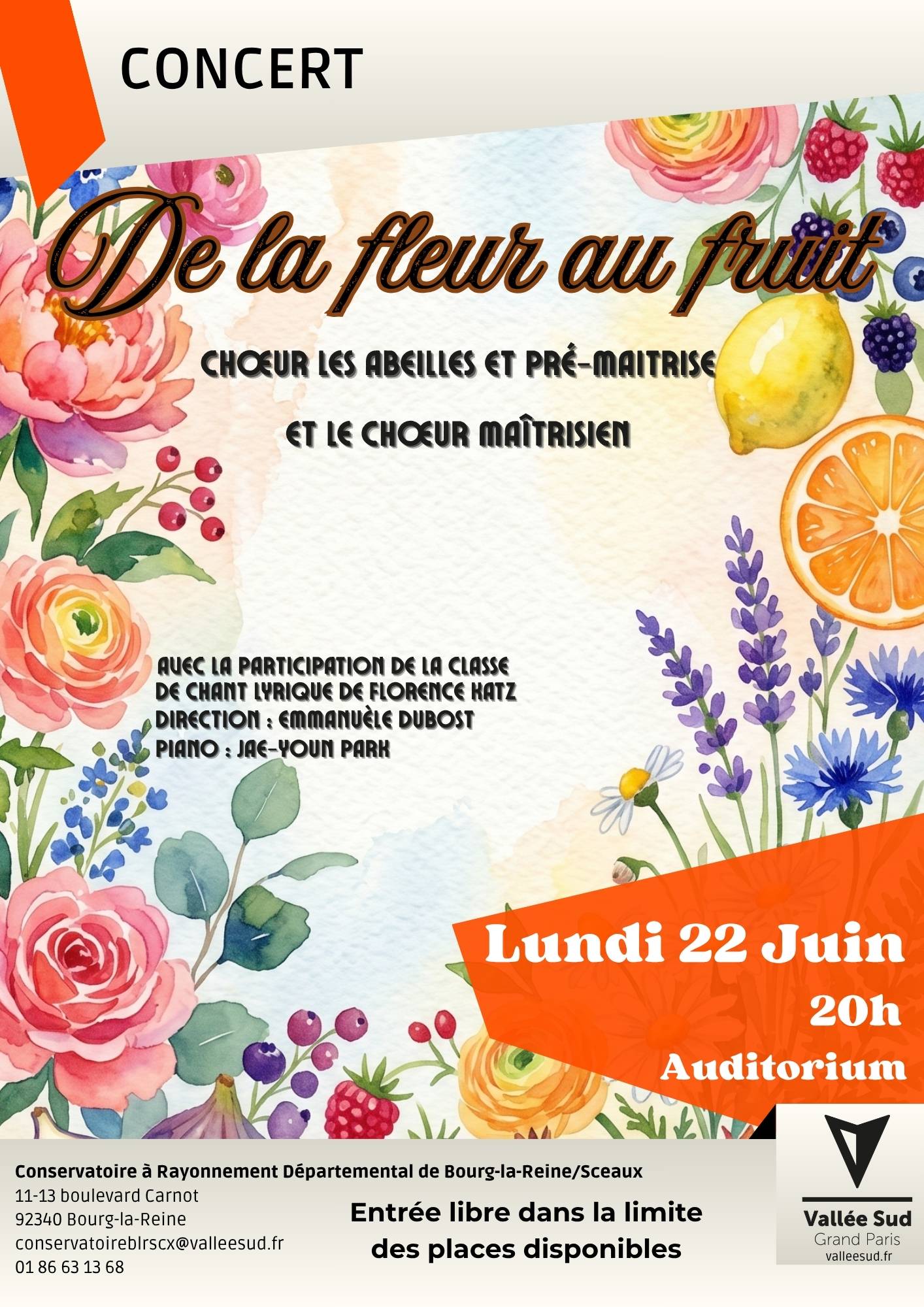Affiche Concert