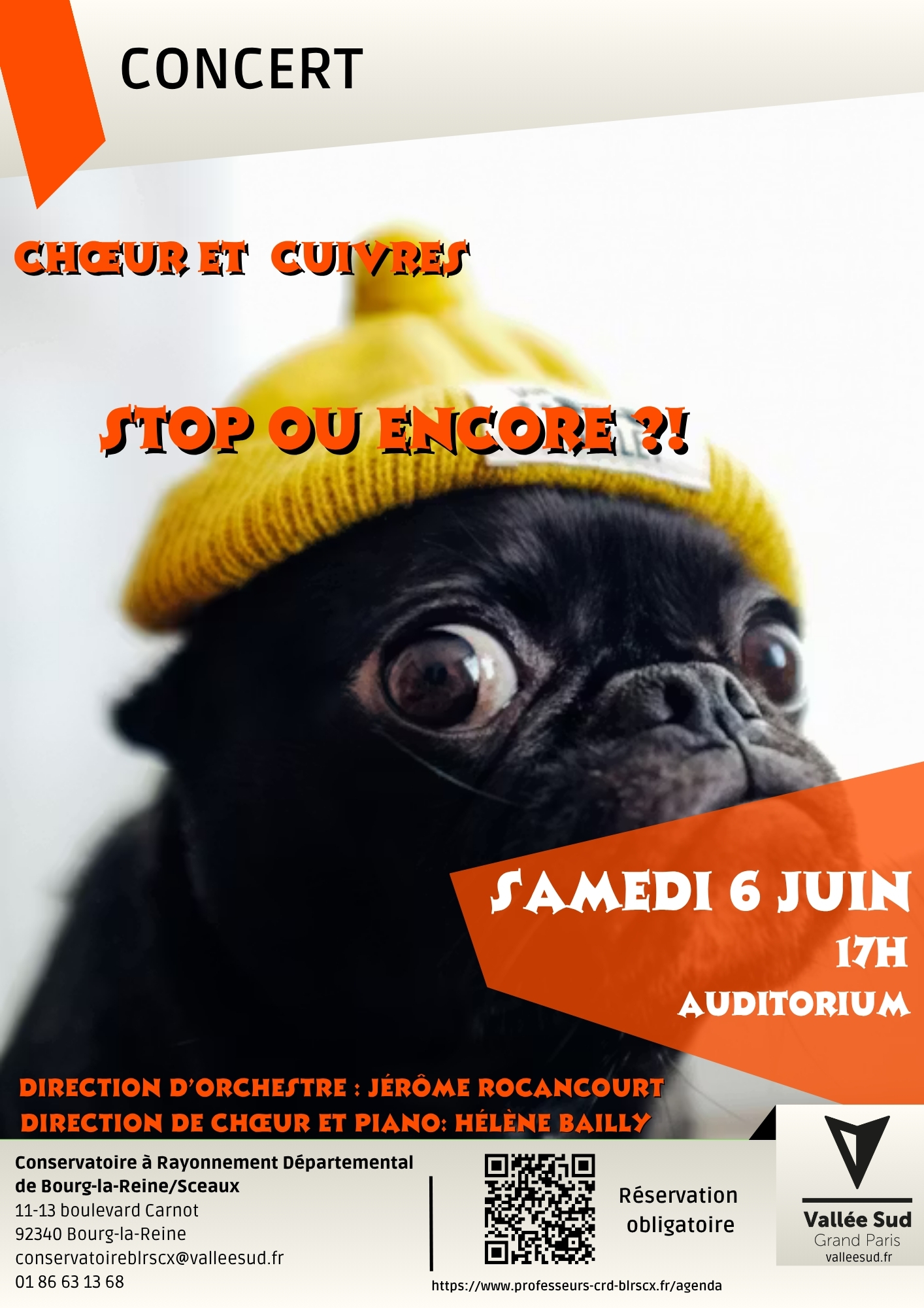 Affiche Spectacle
